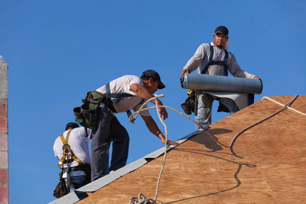 Best Roof Maintenance Services  in Laymantown, VA